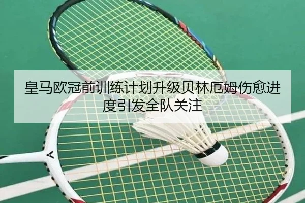 皇马欧冠前训练计划升级贝林厄姆伤愈进度引发全队关注